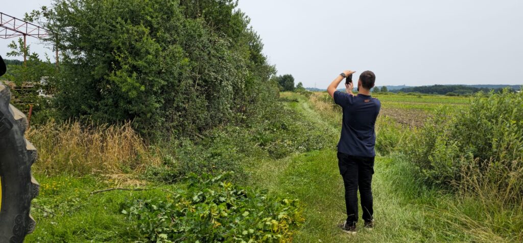 teren nakon orezivanja grana